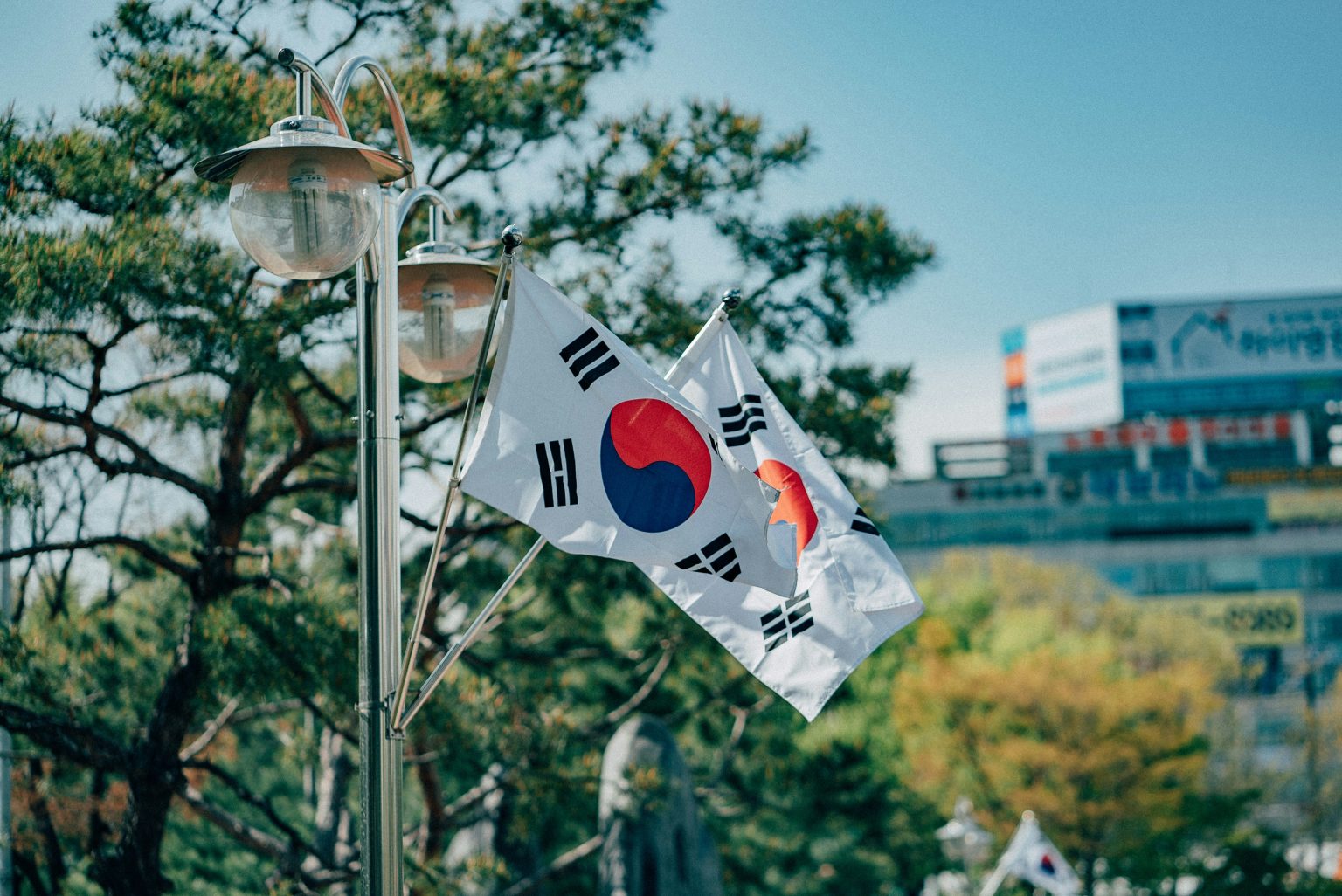An image of south korean flags